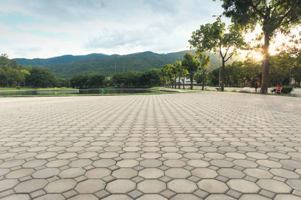 Best Residential Driveway Paver Services  in Conway, SC